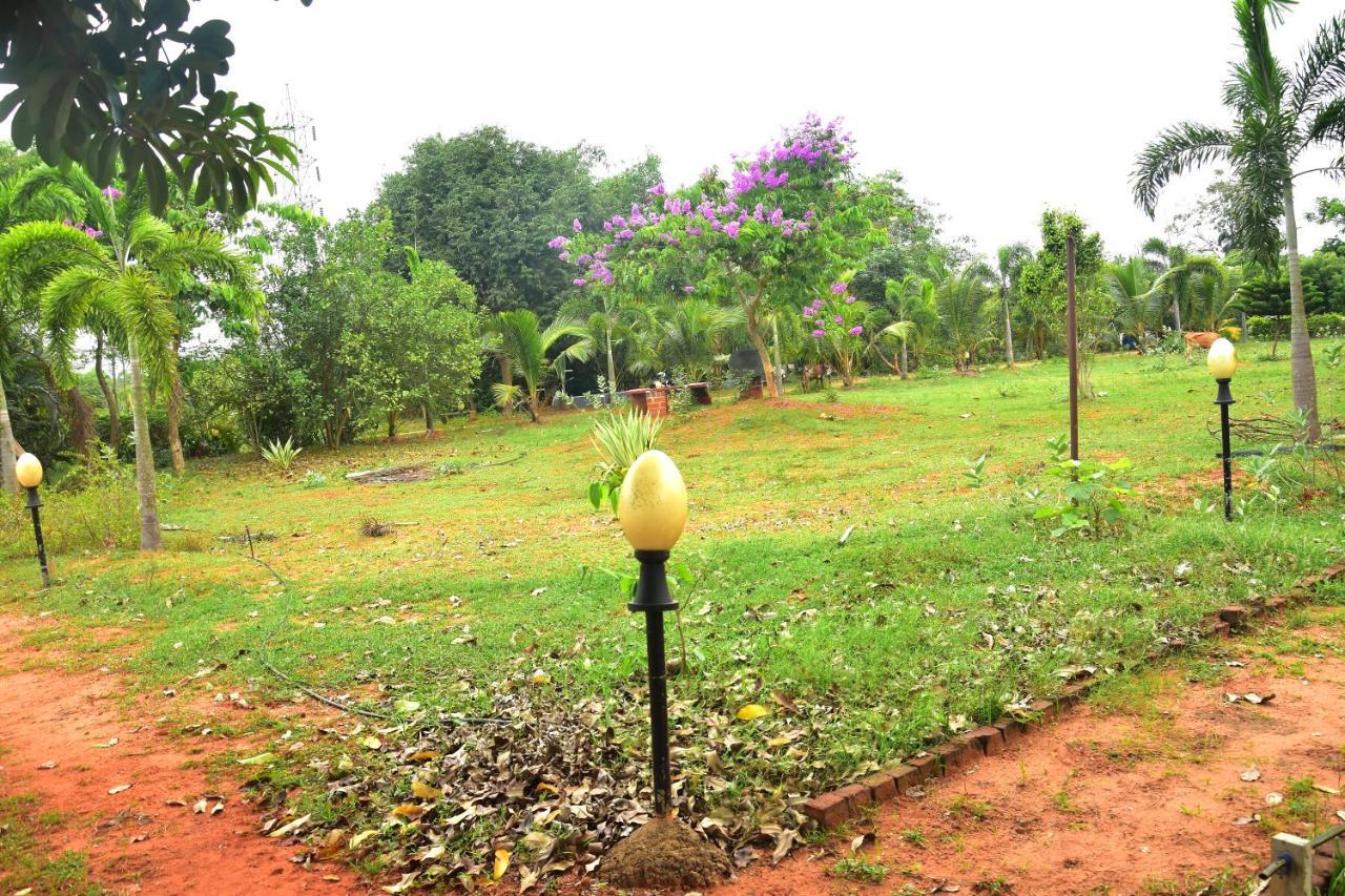 Paradise Quest Nature Farmhouse Villa Kālapettai Buitenkant foto